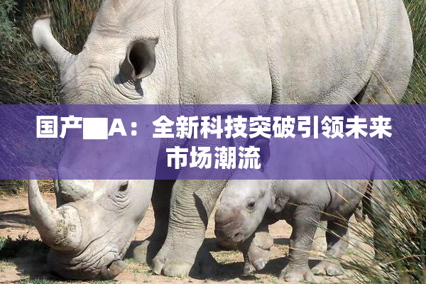 国产▇A：全新科技突破引领未来市场潮流