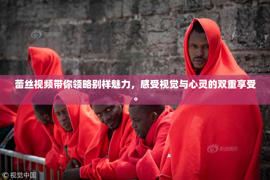 蕾丝视频带你领略别样魅力，感受视觉与心灵的双重享受。