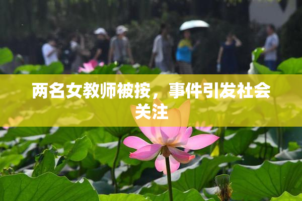 两名女教师被按，事件引发社会关注