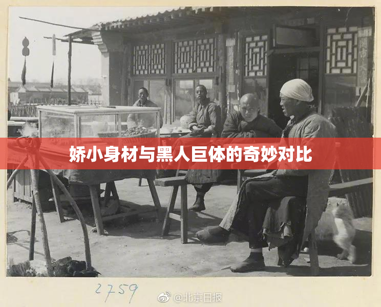 娇小身材与黑人巨体的奇妙对比