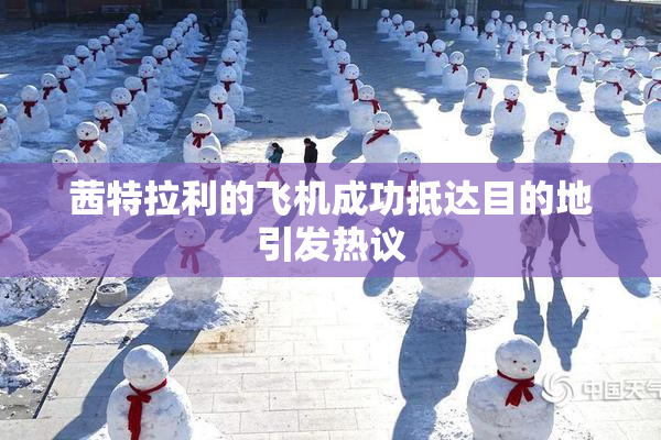茜特拉利的飞机成功抵达目的地引发热议