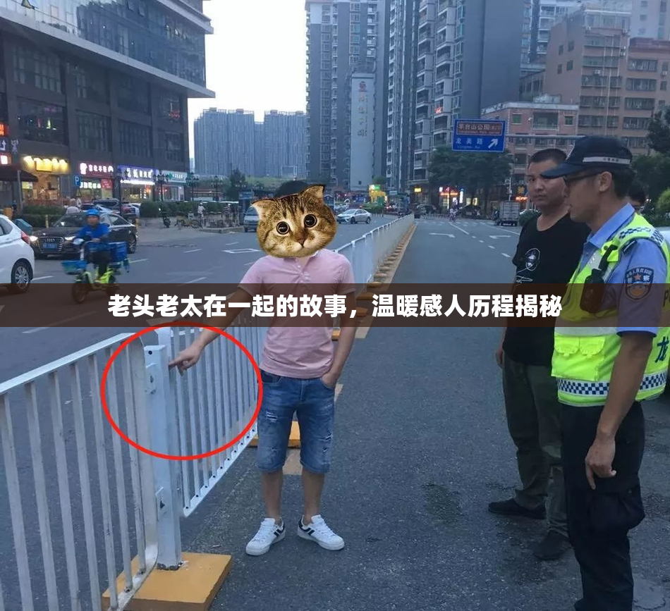 老头老太在一起的故事，温暖感人历程揭秘