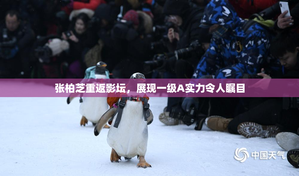 张柏芝重返影坛，展现一级A实力令人瞩目