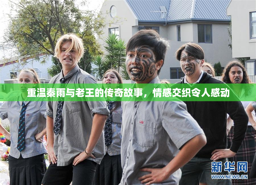 重温秦雨与老王的传奇故事，情感交织令人感动