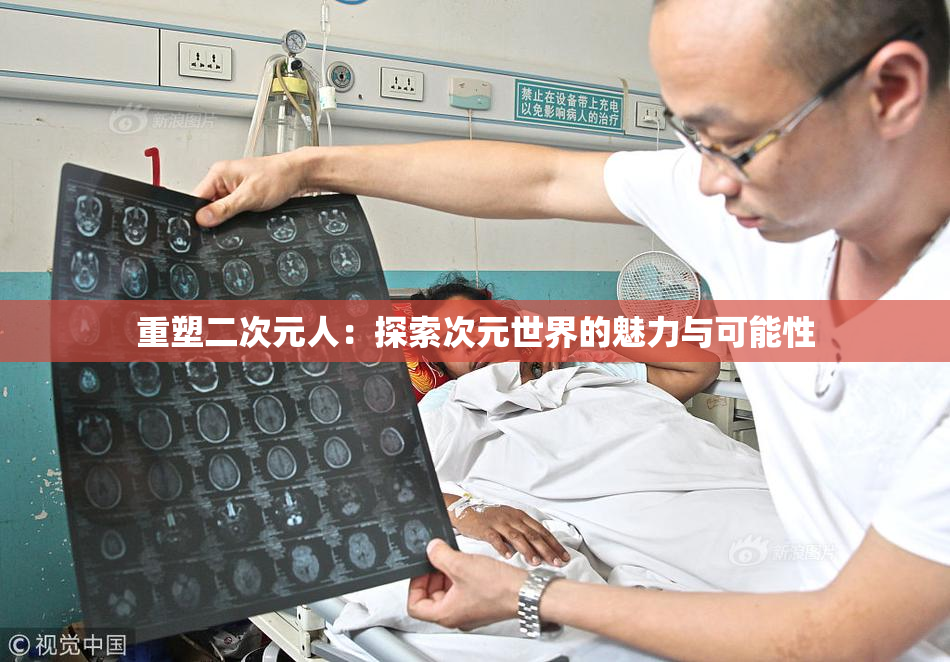 重塑二次元人：探索次元世界的魅力与可能性