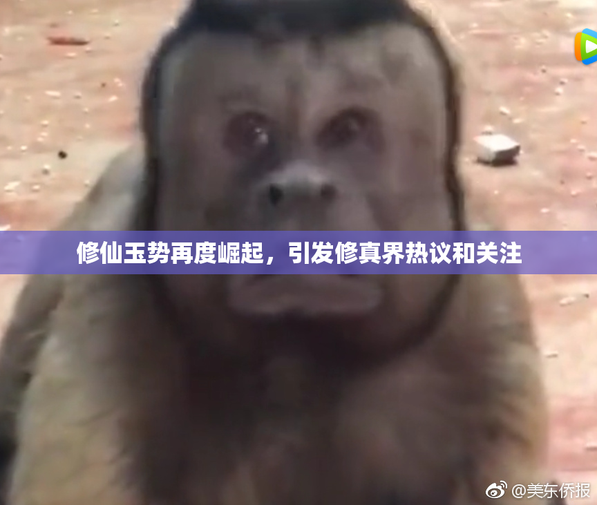 修仙玉势再度崛起，引发修真界热议和关注