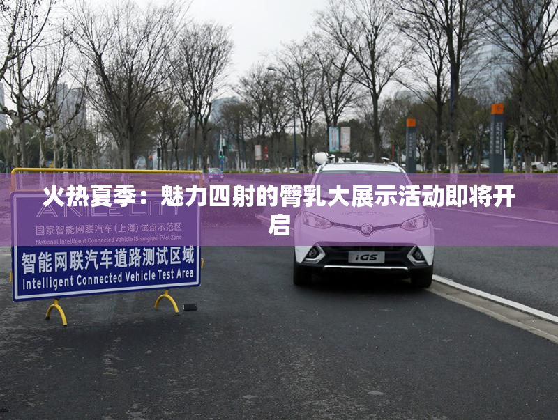 火热夏季：魅力四射的臀乳大展示活动即将开启