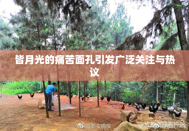 皆月光的痛苦面孔引发广泛关注与热议
