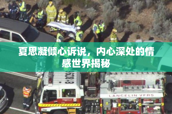 夏思凝倾心诉说，内心深处的情感世界揭秘