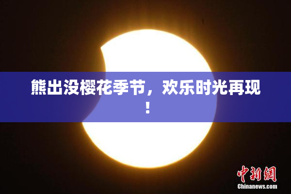 熊出没樱花季节，欢乐时光再现！