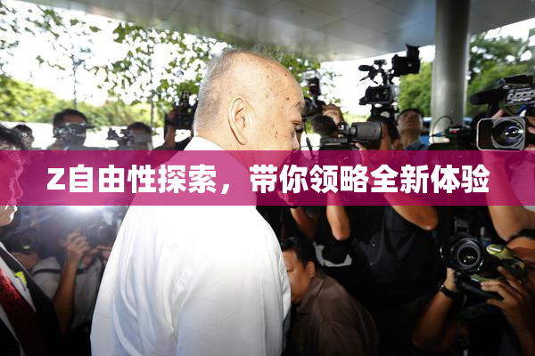 Z自由性探索，带你领略全新体验