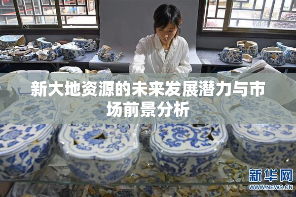 新大地资源的未来发展潜力与市场前景分析