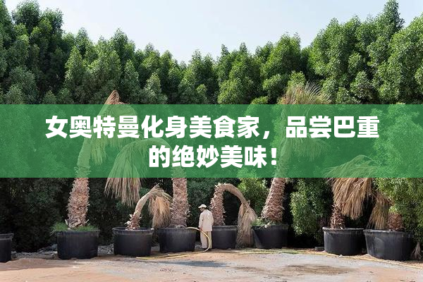 女奥特曼化身美食家，品尝巴重的绝妙美味！