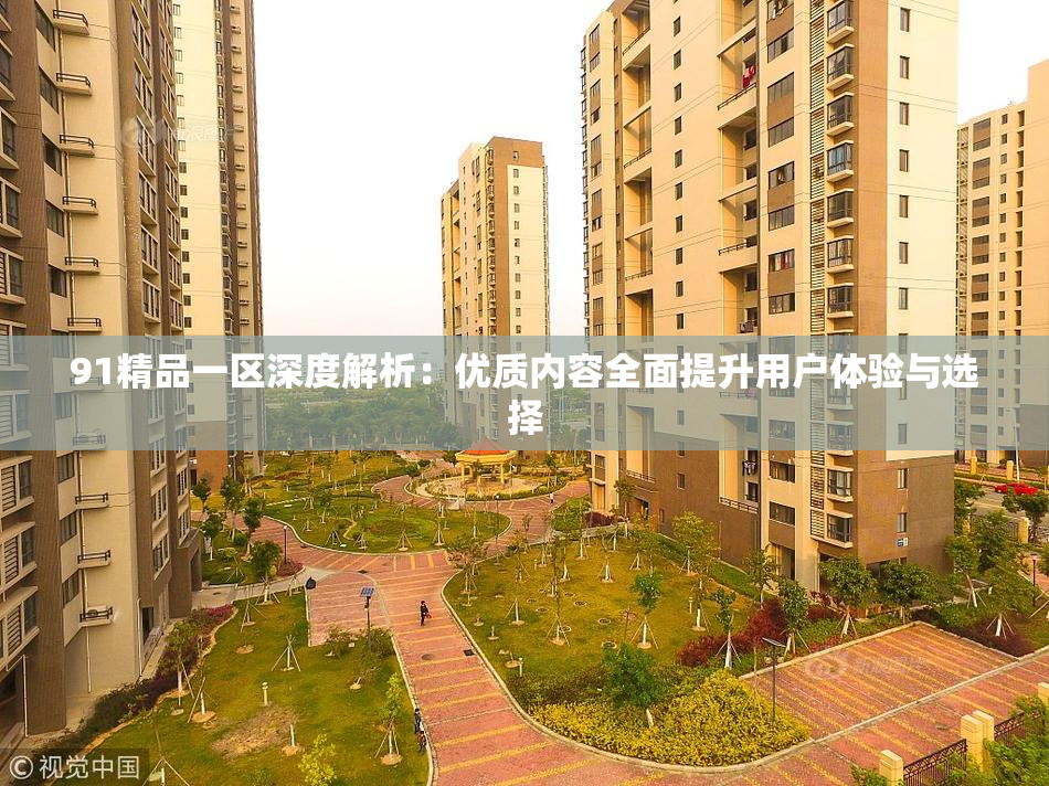 91精品一区深度解析：优质内容全面提升用户体验与选择