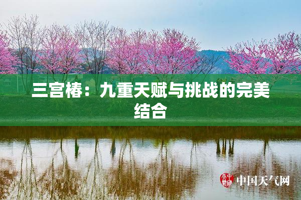 三宫椿：九重天赋与挑战的完美结合