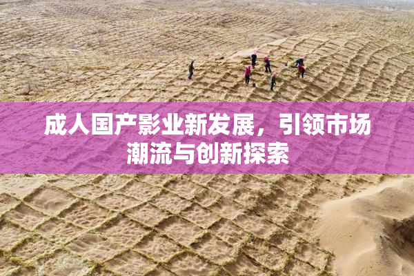 成人国产影业新发展，引领市场潮流与创新探索