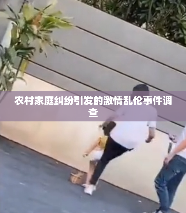 农村家庭纠纷引发的激情乱伦事件调查