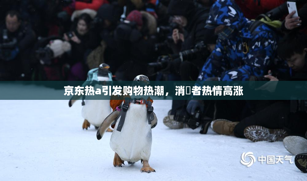 京东热a引发购物热潮，消費者热情高涨