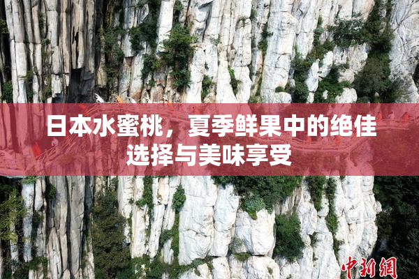 日本水蜜桃，夏季鲜果中的绝佳选择与美味享受