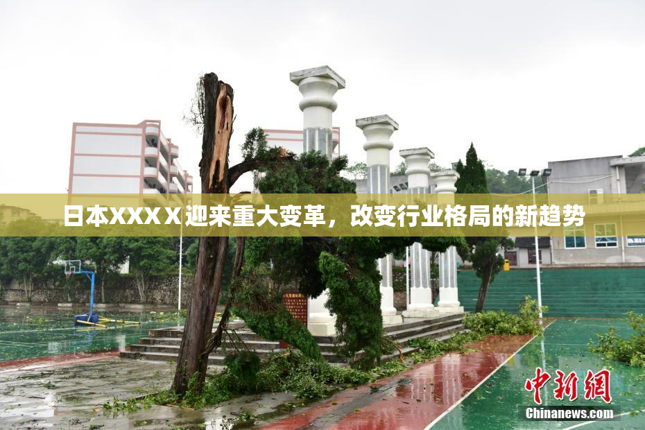 日本XXXⅩ迎来重大变革，改变行业格局的新趋势
