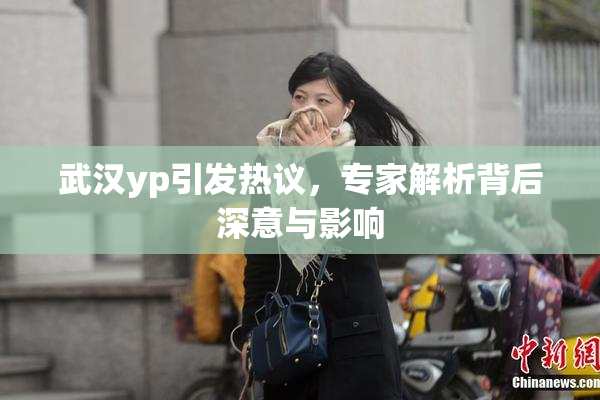 武汉yp引发热议，专家解析背后深意与影响