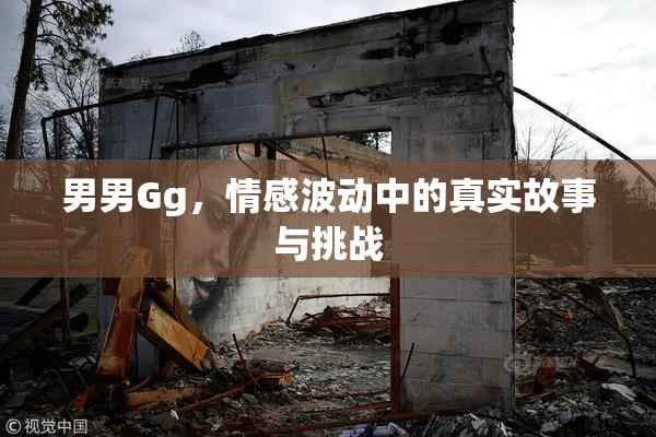 男男Gg，情感波动中的真实故事与挑战