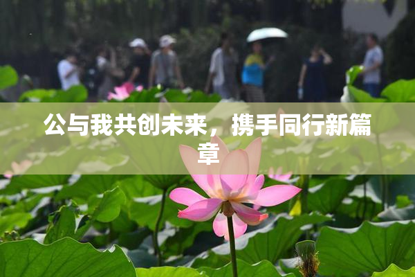 公与我共创未来，携手同行新篇章