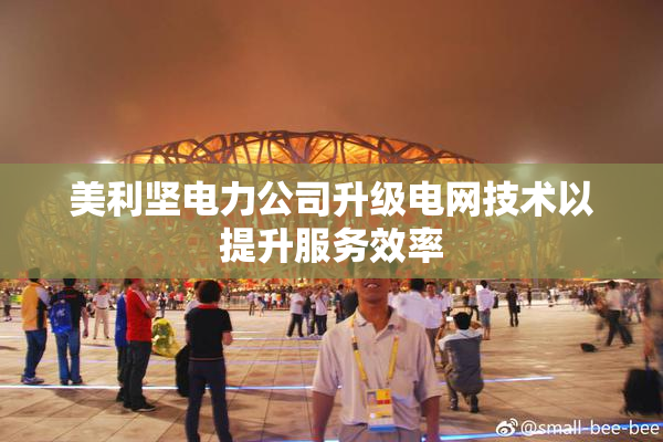 美利坚电力公司升级电网技术以提升服务效率