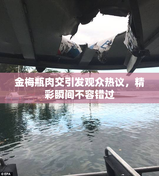 金梅瓶肉交引发观众热议，精彩瞬间不容错过