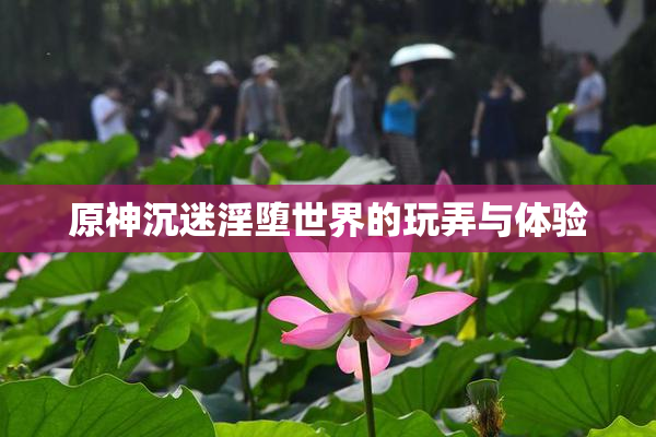原神沉迷淫堕世界的玩弄与体验