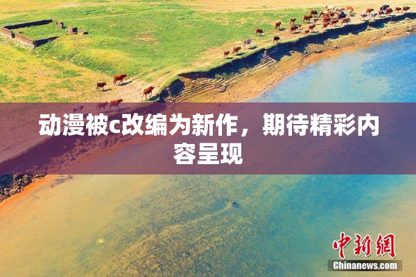 动漫被c改编为新作，期待精彩内容呈现