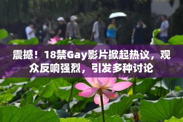 震撼！18禁Gay影片掀起热议，观众反响强烈，引发多种讨论