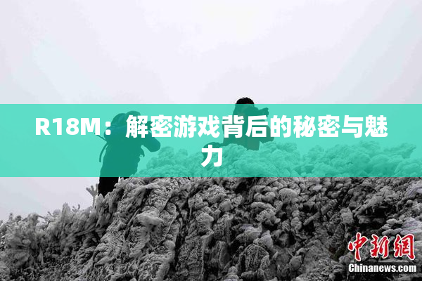 R18M：解密游戏背后的秘密与魅力