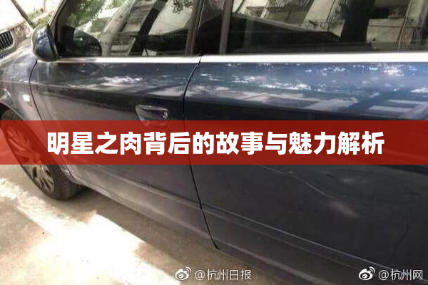 明星之肉背后的故事与魅力解析