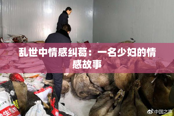 乱世中情感纠葛：一名少妇的情感故事