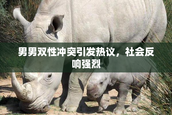 男男双性冲突引发热议，社会反响强烈