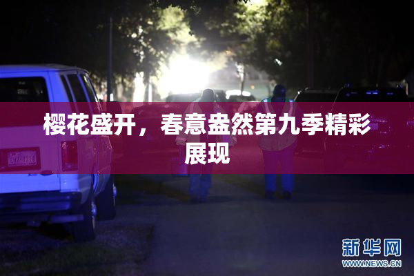樱花盛开，春意盎然第九季精彩展现