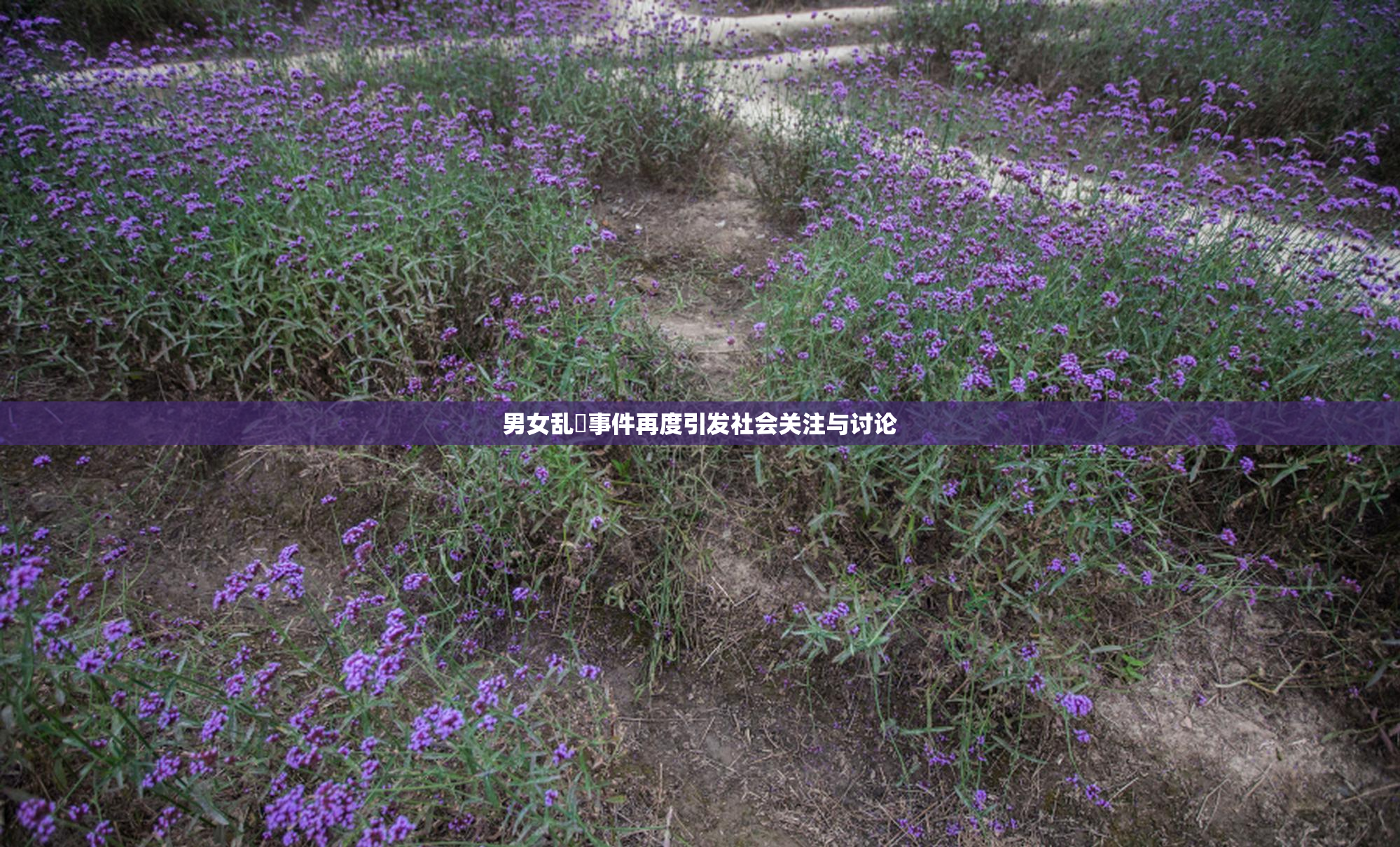 男女乱婬事件再度引发社会关注与讨论