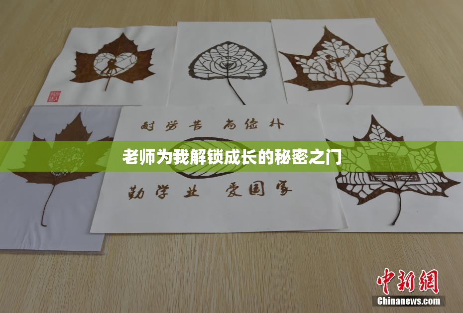 老师为我解锁成长的秘密之门
