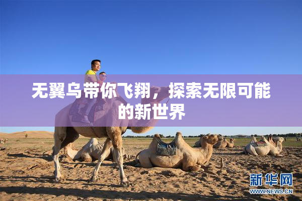 无翼乌带你飞翔，探索无限可能的新世界
