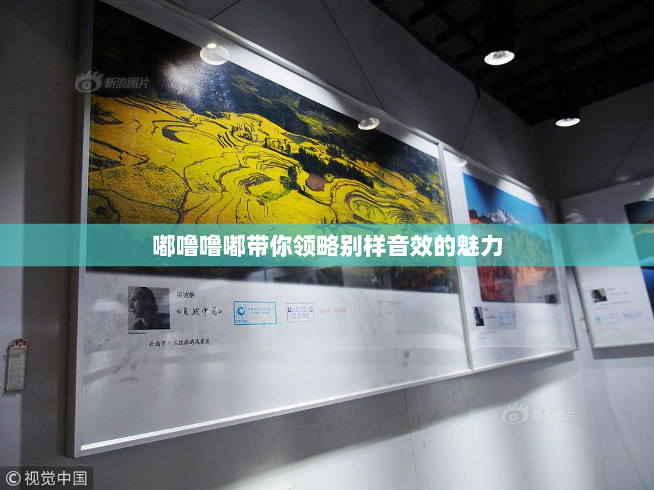 嘟噜噜嘟带你领略别样音效的魅力