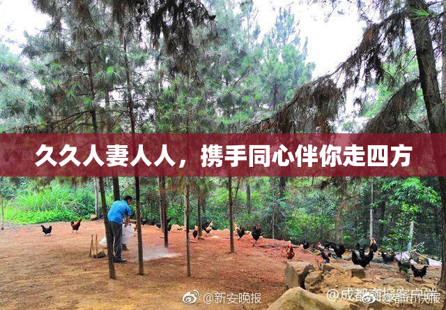 久久人妻人人，携手同心伴你走四方