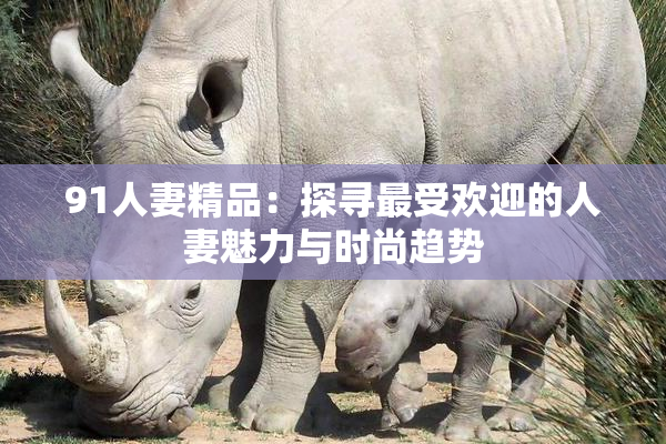91人妻精品：探寻最受欢迎的人妻魅力与时尚趋势