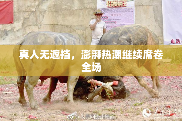 真人无遮挡，澎湃热潮继续席卷全场