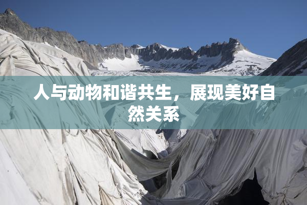 人与动物和谐共生，展现美好自然关系