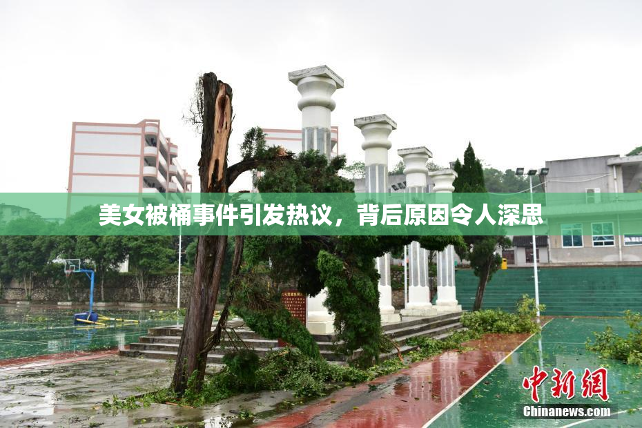 美女被桶事件引发热议，背后原因令人深思