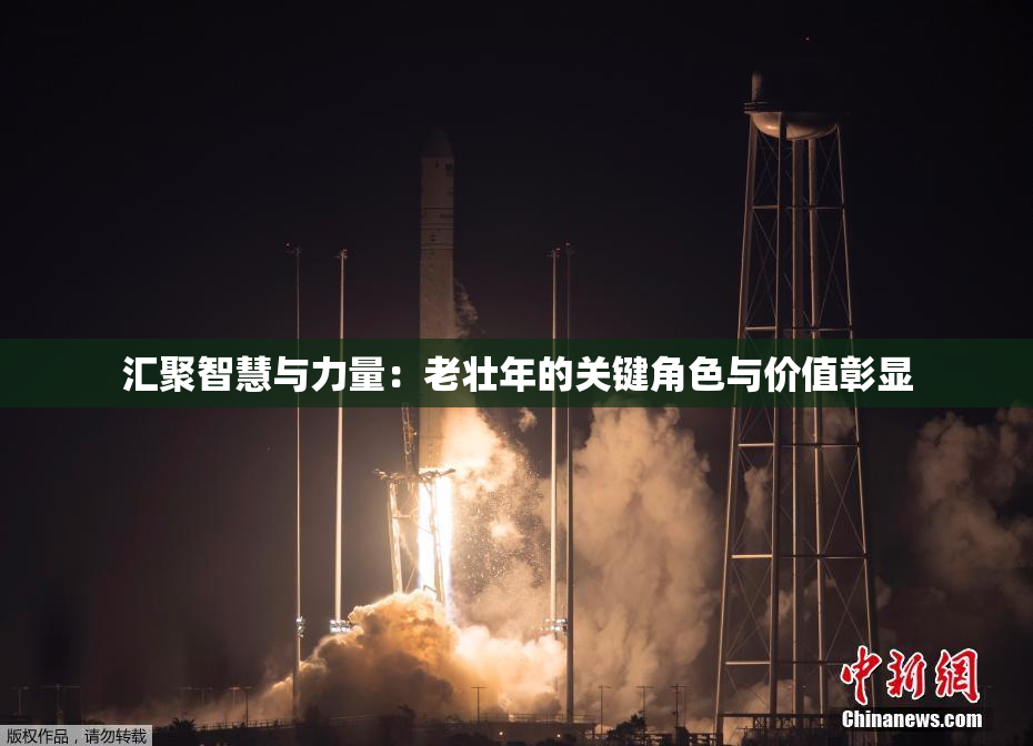 汇聚智慧与力量：老壮年的关键角色与价值彰显