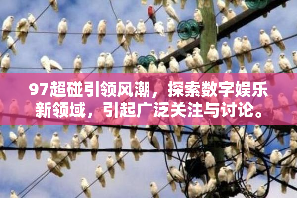 97超碰引领风潮，探索数字娱乐新领域，引起广泛关注与讨论。