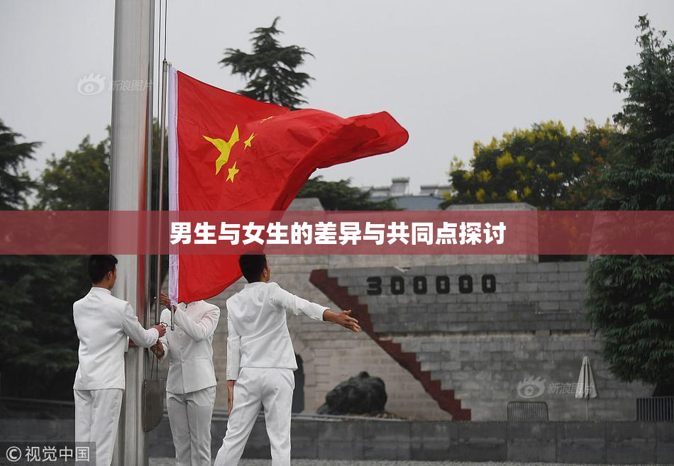 男生与女生的差异与共同点探讨