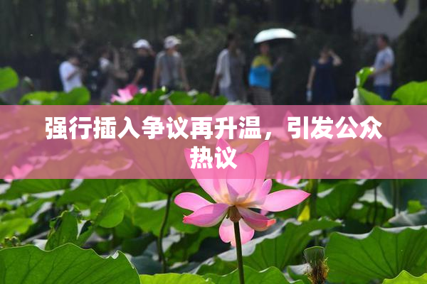 强行插入争议再升温，引发公众热议
